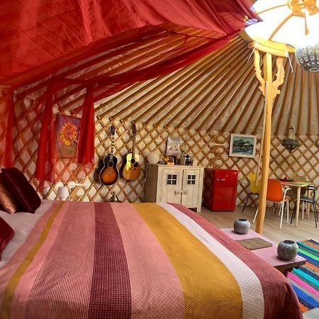 Overnachten In Een Luxe Yurt! Zonnemaire Exterior photo